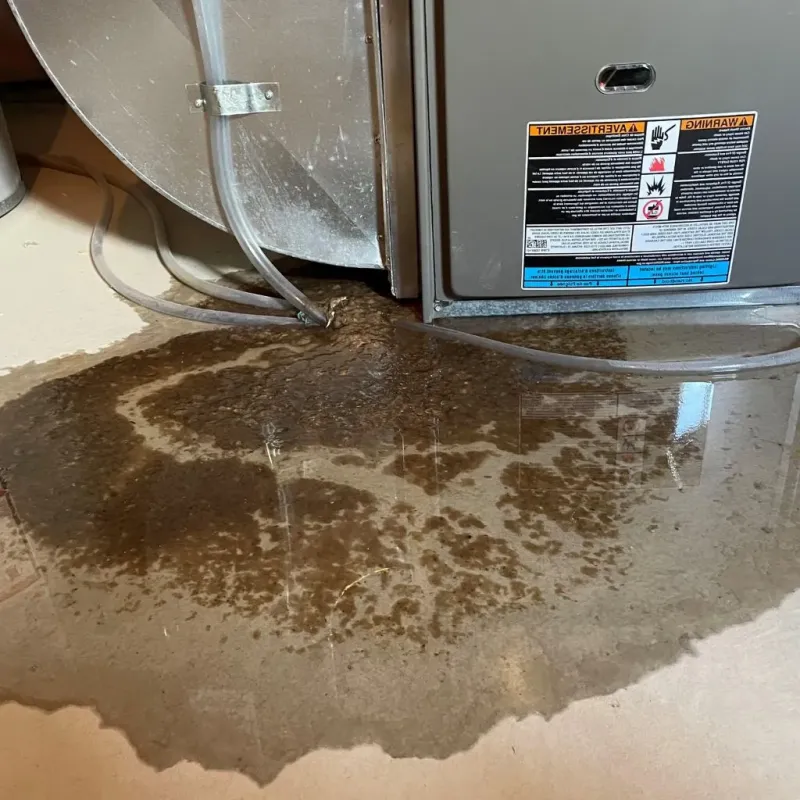 Pipe Burst and Leak Restoration in Cleveland County, OK
